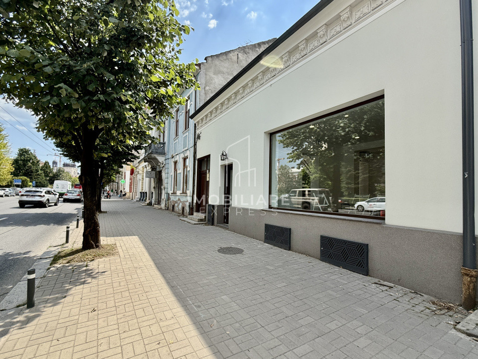 Spațiu Premium cu Vitrina la Piața Avram Iancu - Centru