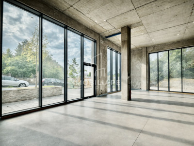 Comision 0% Spațiu comercial, Chiriaș activ, Poziție Centrala