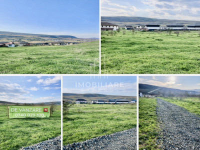 Oportunitate Investițională – 6.017 mp Intravilan |  Parcelat | Chinteni 