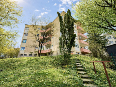 Apartament 163 mp, living + balcon 40 mp, vedere parc, garaj, curte. 