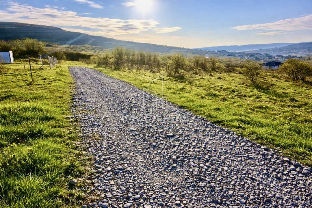 0% Teren Intravilan-Urbanism Chinteni Zona Profi