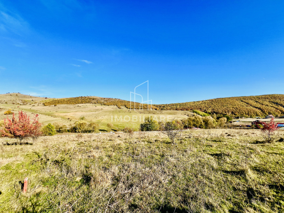 Comision 0% Teren Intravilan 1.100 mp – Salicea, Cluj 