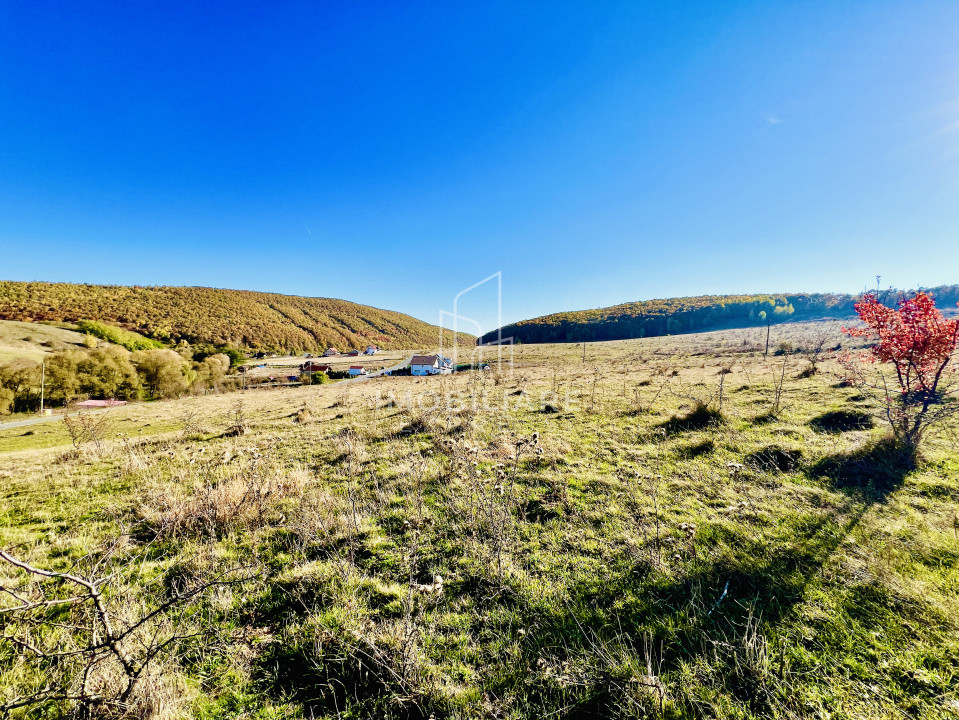 Comision 0% Teren Intravilan 1.100 mp – Salicea, Cluj 